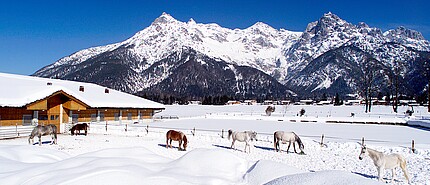 Riding holidays in the hotel Strasserwirt