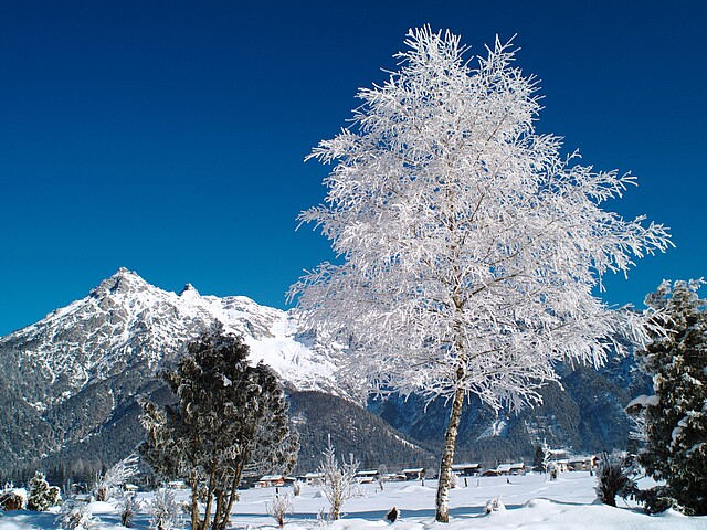 Winterly landscape in the Pillerseetal region